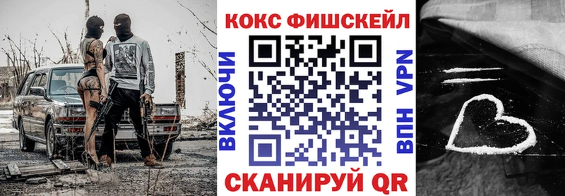 Cocaine Fish Scale  даркнет сайт  Сольвычегодск 